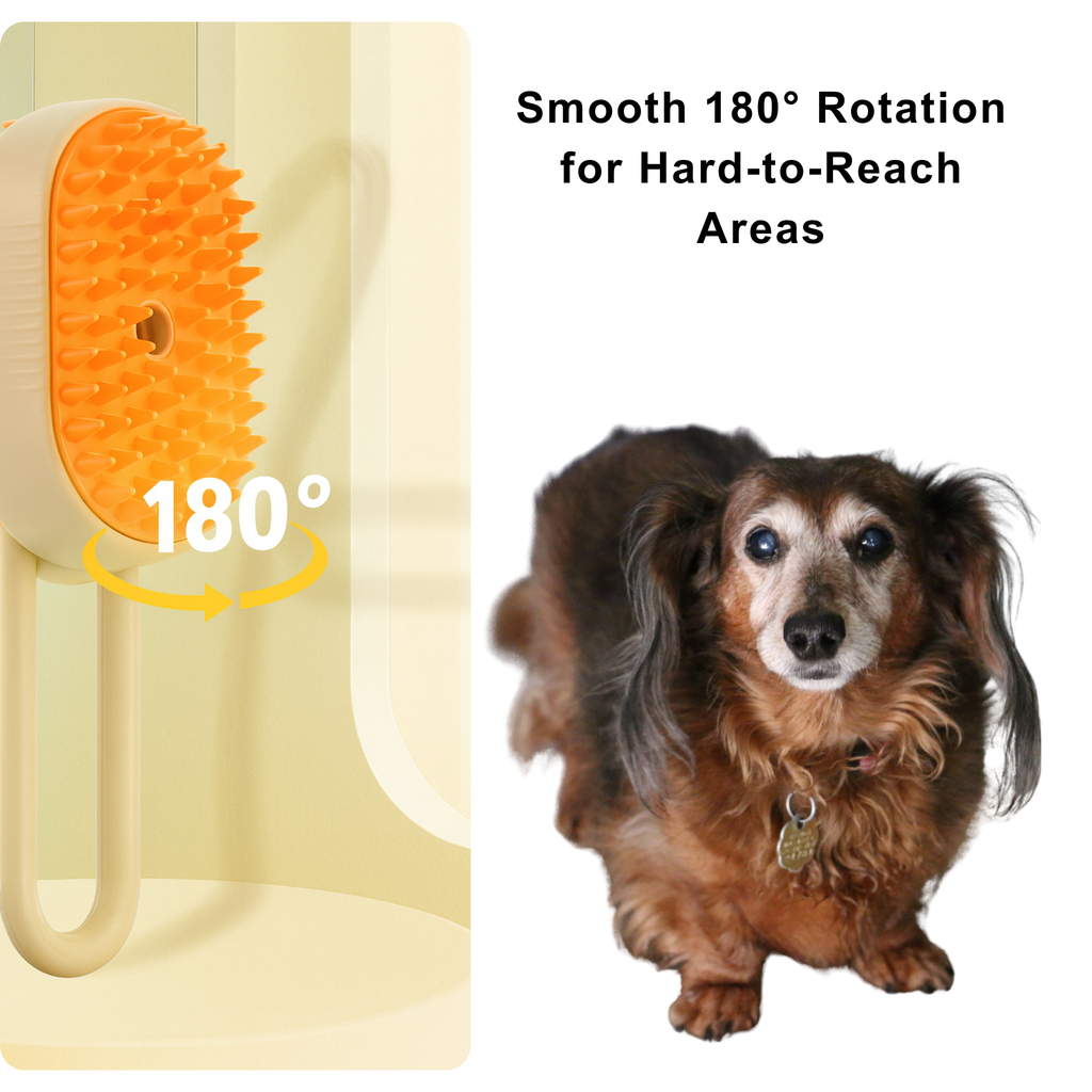 3-in-1 Steam Grooming Brush for Pets