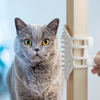 2Pcs Pet Self-Grooming Brush | Silicone Pet Tickling & Massage Tool for Cats & Dogs