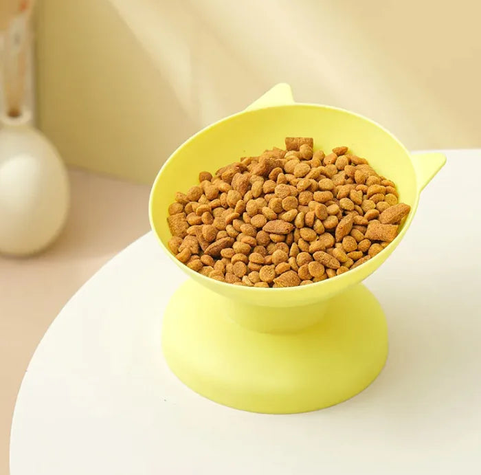 Anti-Vomiting Elevated Cat Bowl