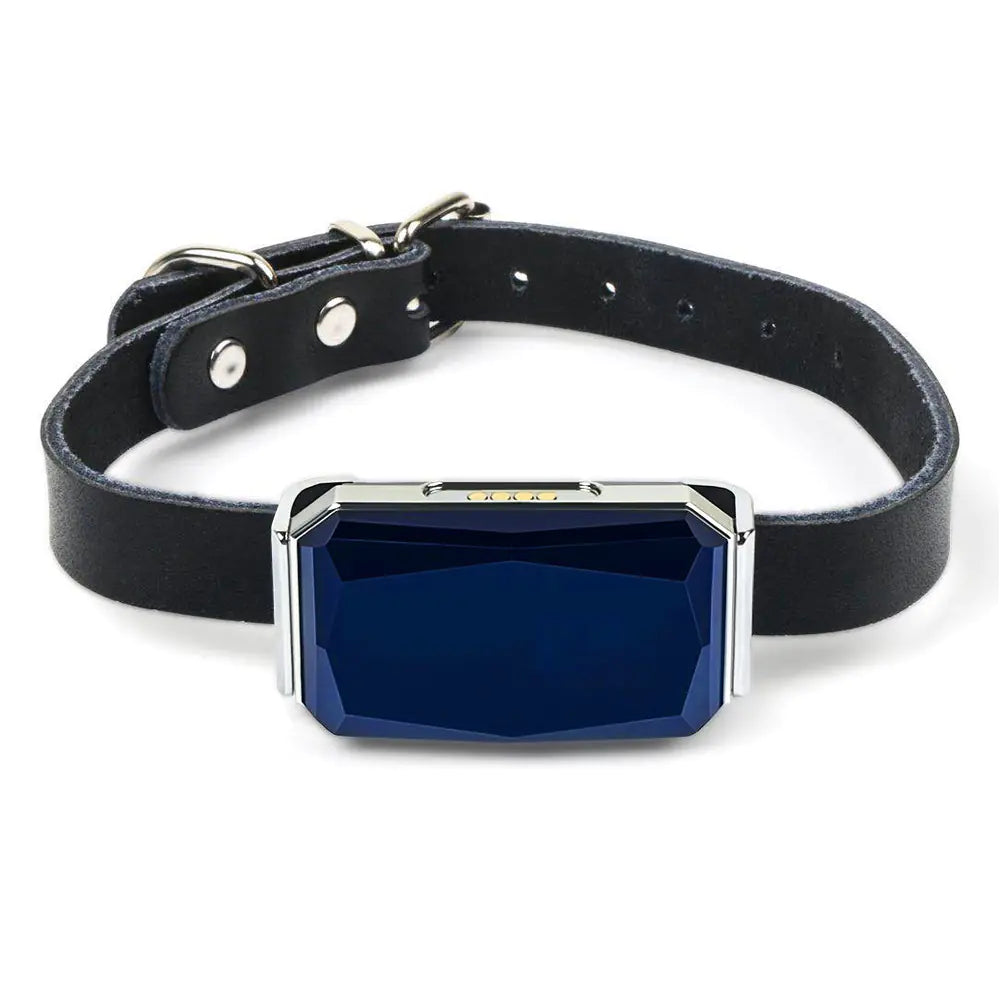 Smart GPS Pet Locator Collar