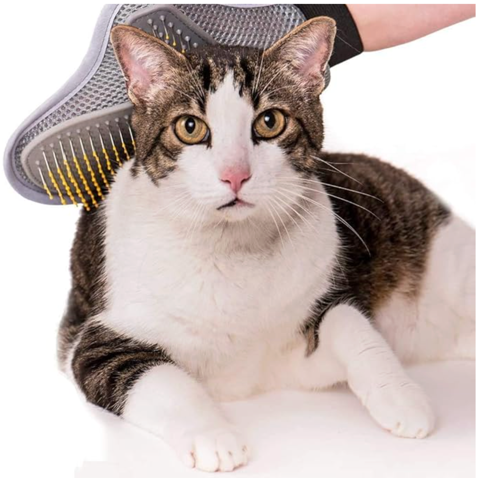 Pet Bathing Gloves for Shower and Massage