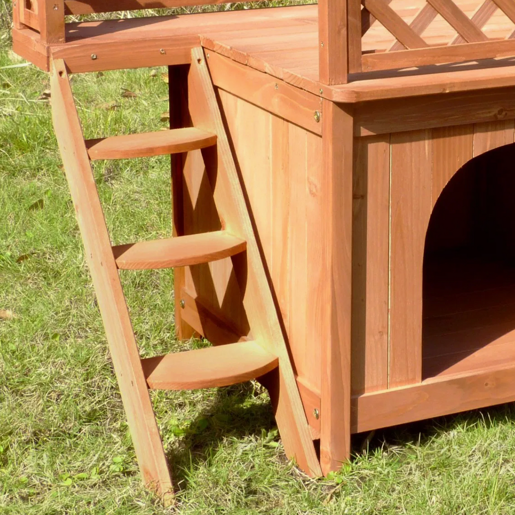 Wood Room with a View Pet House