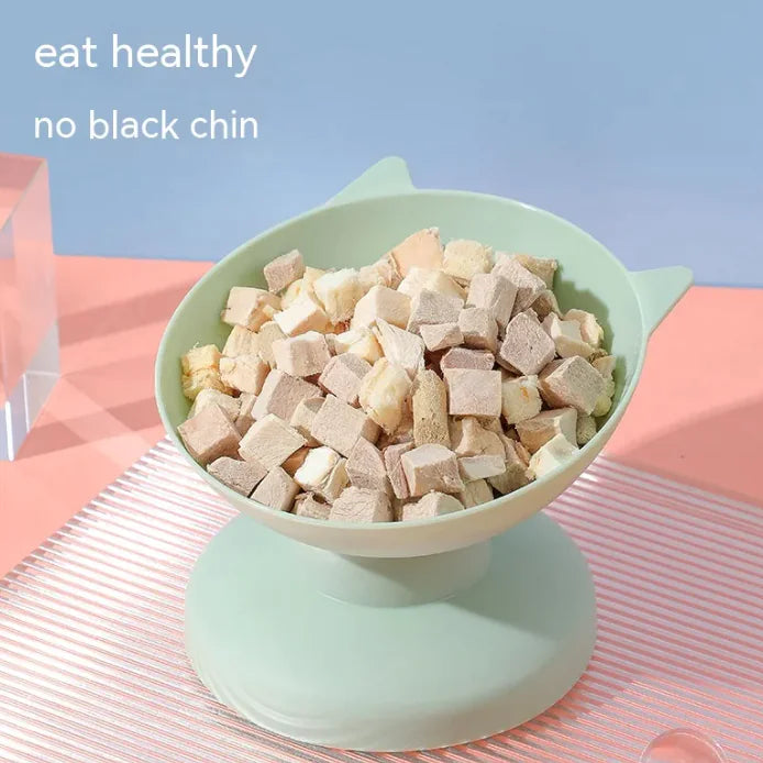 Anti-Vomiting Elevated Cat Bowl