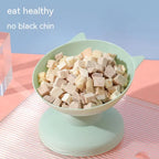 Anti-Vomiting Elevated Cat Bowl