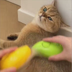 Pet Grooming Silicone Massage Brush