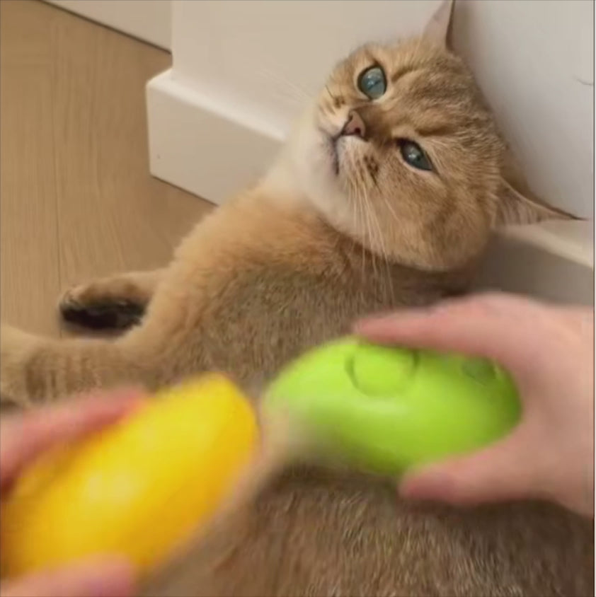 Pet Grooming Silicone Massage Brush